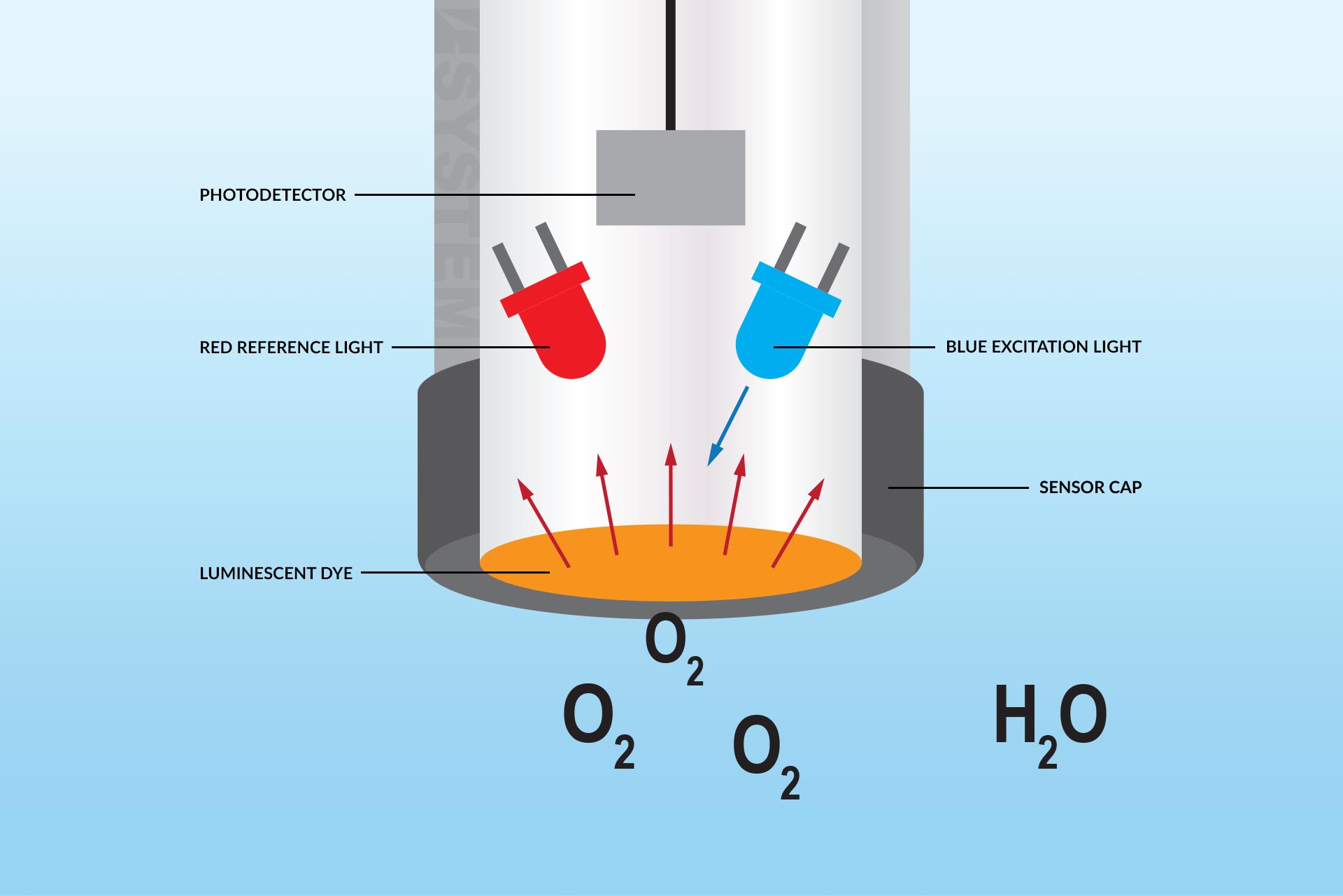 Optical Oxygen Sensor Working Principle At Steven Robbins Blog